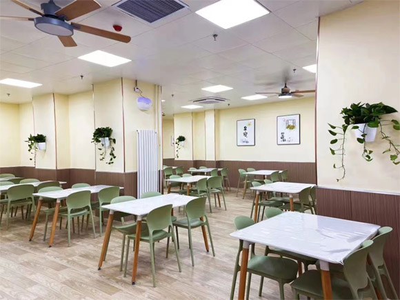 深圳学大教育 艺考文化课培训与心理咨询服务解析